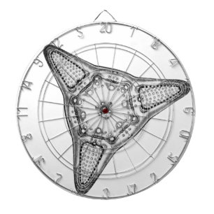 Diatom Dartboard