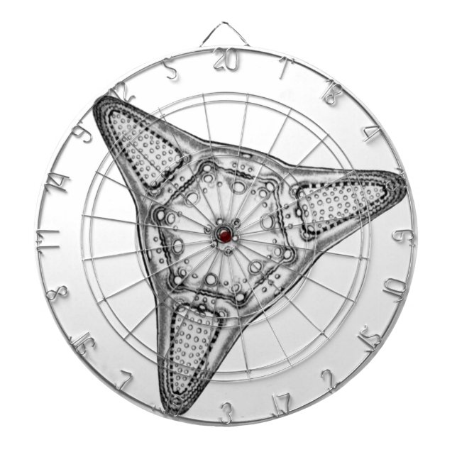 Diatom Dartboard (Front)