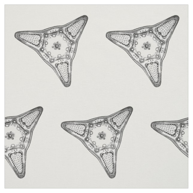 Diatom Fabric (Swatch)