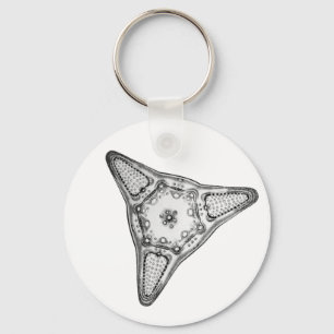 Diatom Keychain