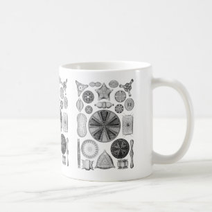 Diatoms Coffee Mug
