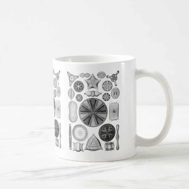 Diatoms Coffee Mug (Right)