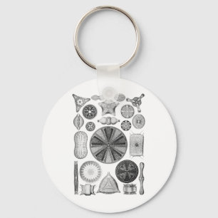 Diatoms Keychain