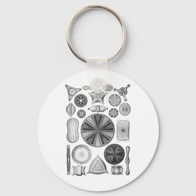 Diatoms Keychain (Front)