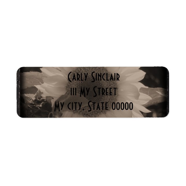 Diatrope Tournesol IV (Devant)