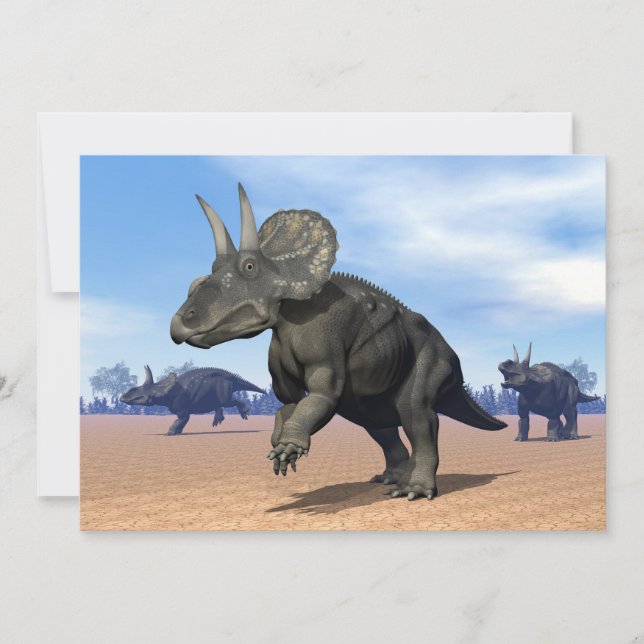 Diceratops/nedoceratops dinosaurs in the desert (Front)