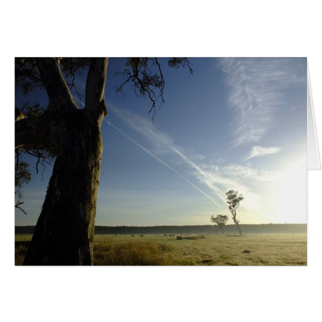 D'ici à là (Devant Horizontal)