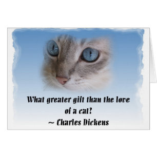 Dickens Cat