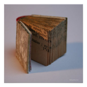 DicofrAngle English-French Miniature Book poster