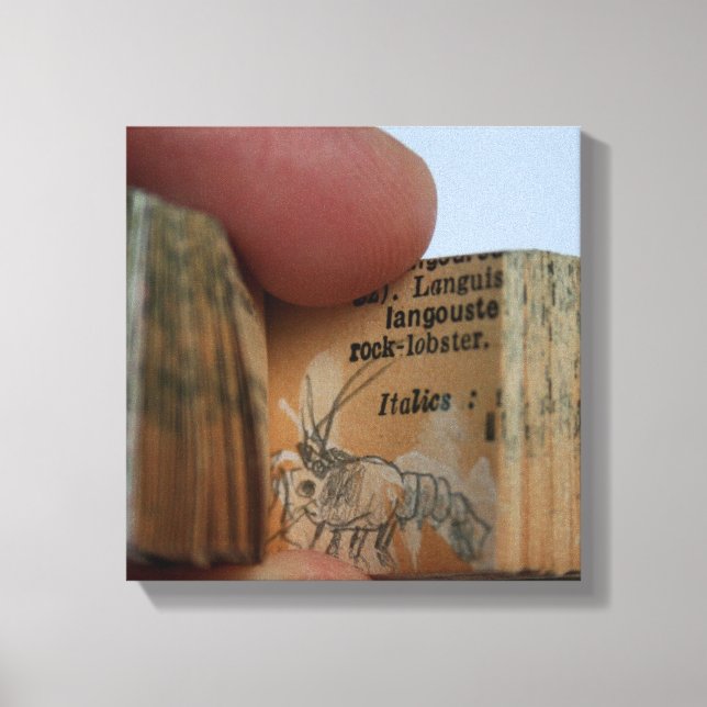 DicofrAngle Miniature Book Crayfish Drawing Canvas Print (Front)