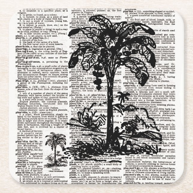 Dictionary Art Palm Tree Square Paper Coaster (Front)