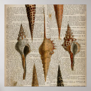dictionary print french botanical beach seashells