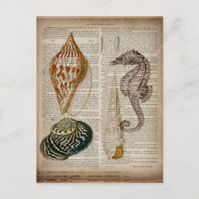 dictionary print french country vintage seashell postcard (Front)