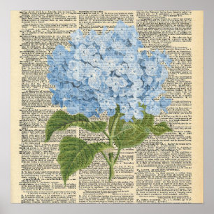 Dictionnaire vintage Poster de fleurs d'Hydrangée 