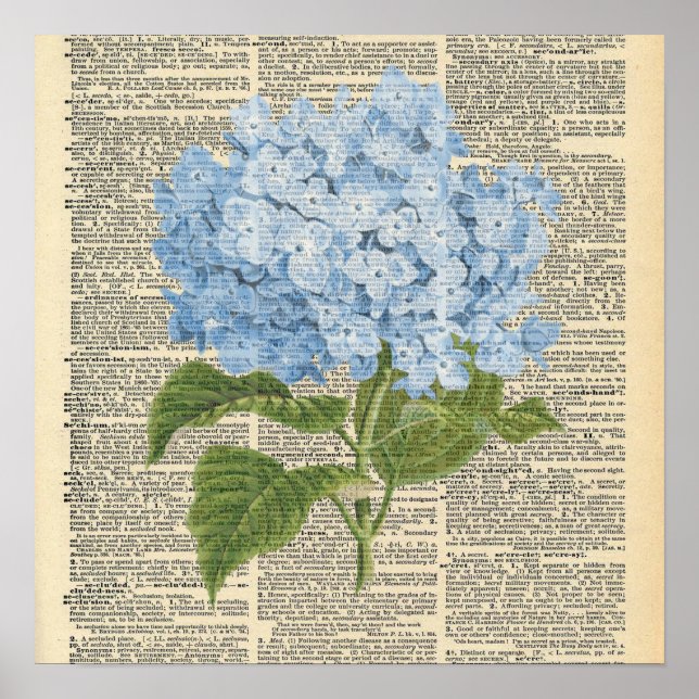 Dictionnaire vintage Poster de fleurs d'Hydrangée  (Devant)