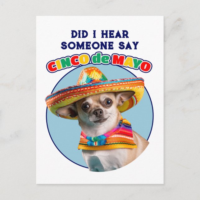 Did I Hear Cinco De Mayo Sombrero Chihuahua Postcard (Front)