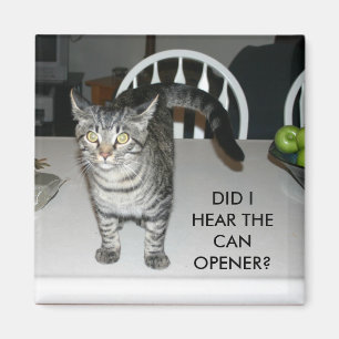 DID I HEAR THE CAN OPENER? MAGNET