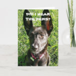 DID I 'HEAR" YOU ARE "21" BIRTHDAY CARD<br><div class="desc">THANKS FOR STOPPING BY ONE OF MY EIGHT STORES. HAPPY BIRTHDAY TO "A SPECIAL **21 YEAR OLD" AND A "CUTE LITTLE DOG WITH GREAT HEARING LOL" TOO!!!!!</div>
