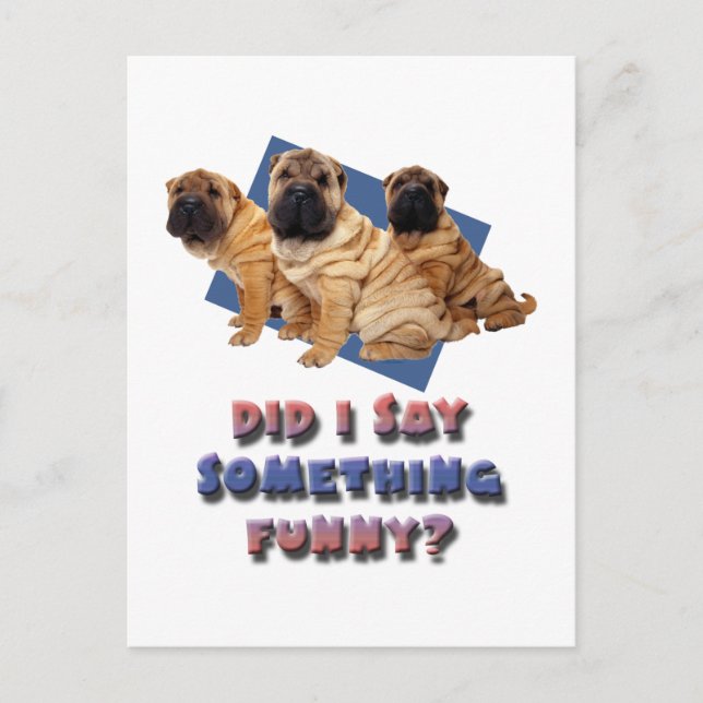 Did I say something funny Postcard (Front)