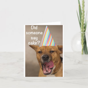 Did Someone Say Cake? Birthday Card