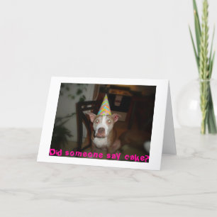 Did someone say cake? card