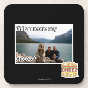 Did someone say cheeze? coaster