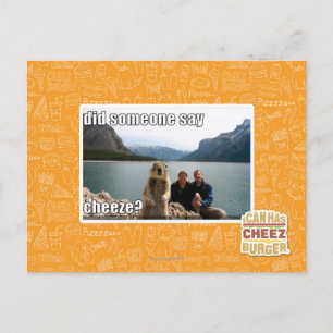 Did someone say cheeze? postcard