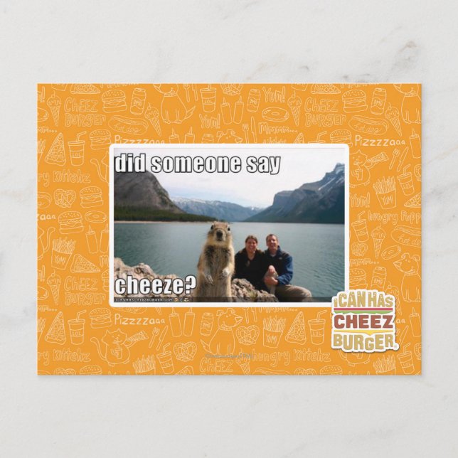 Did someone say cheeze? postcard (Front)