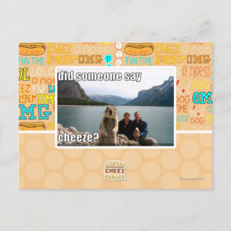 Did someone say cheeze? postcard
