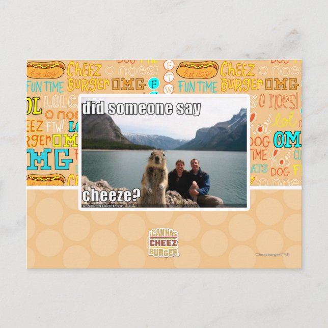 Did someone say cheeze? postcard (Front)