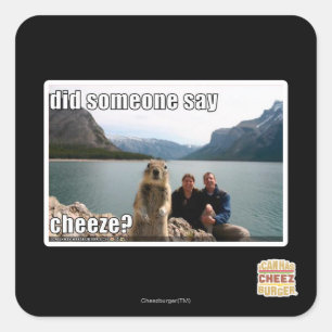 Did someone say cheeze? square sticker