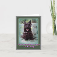 Did Someone Say Friday?