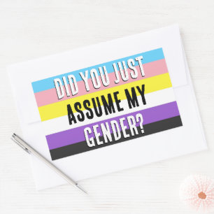Did you Assume My Gender? Sticker