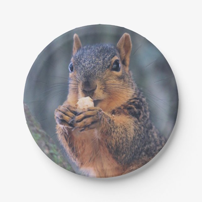 Did you bring coffee? paper plate (Front)