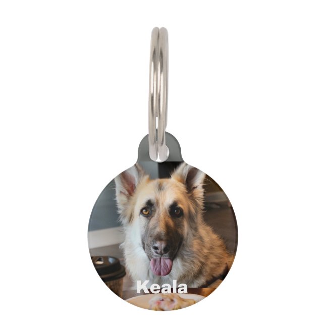 Did you get yourself anything? pet tag (Front)