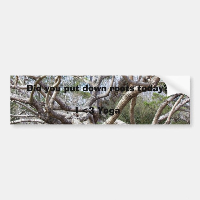 Did you put down roots today? bumper sticker (Front)