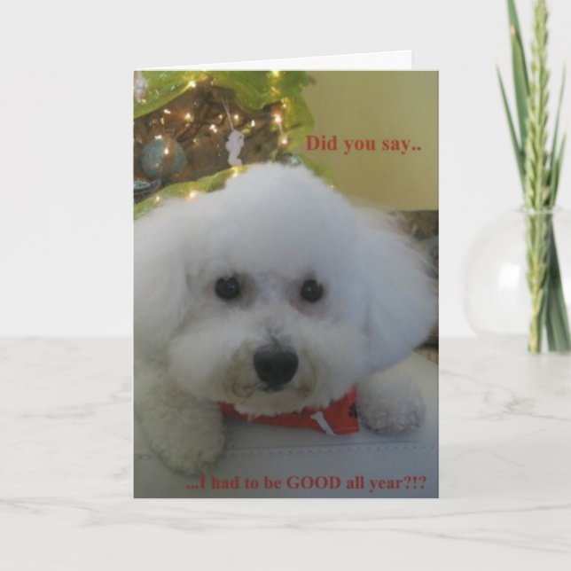 "Did you say I had to be GOOD all year?" Holiday Card (Front)