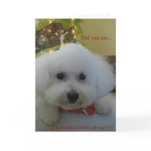 "Did you say I had to be GOOD all year?"