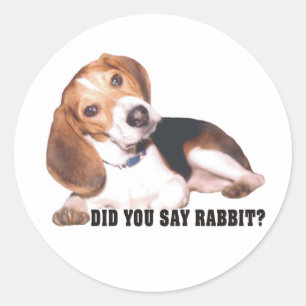 Did you Say Rabbit? Beagle Stickers
