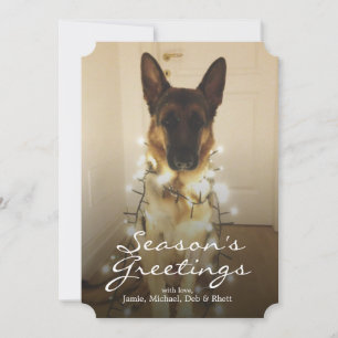 Did you say Santa Paws? Holiday Card