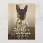 Did you say Santa Paws? Holiday Postcard<br><div class="desc">Cats vs. Dogs</div>