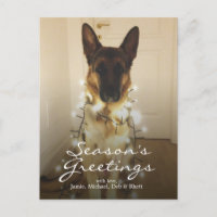 Did you say Santa Paws?