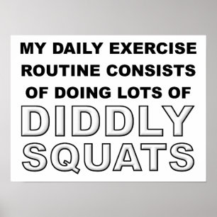 Diddly Squats Funny Poster