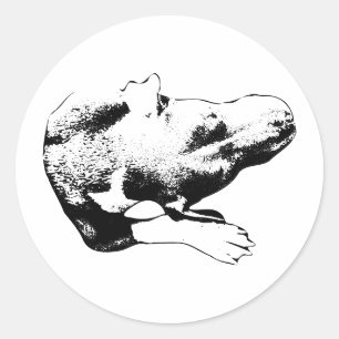 Die-Cut Overhead Pup—Pitbull Mix Classic Round Sticker