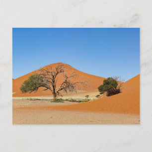 Die Dünen des Sossusvlei in Namibia Postcard
