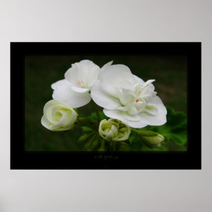 die Entfaltung Poster