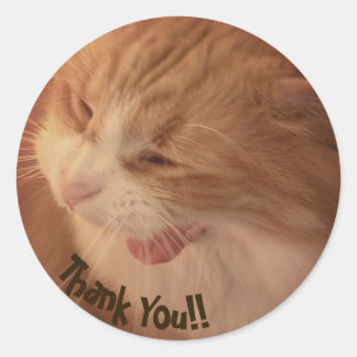 Diego les Stickers Merci de chat
