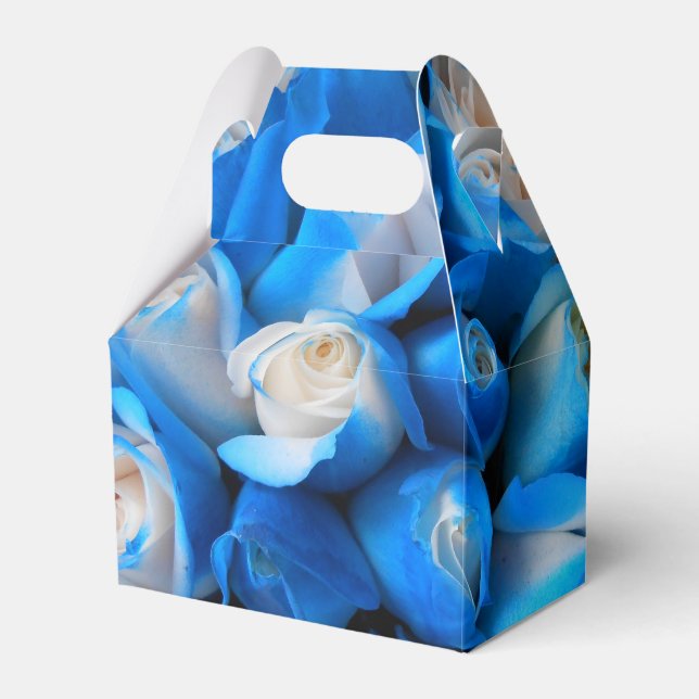 Diemudis Favor Box (Front Side)
