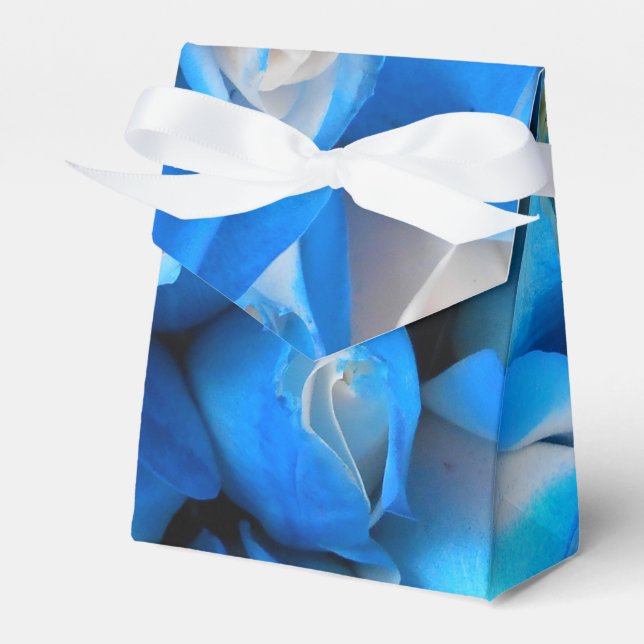 Diemudis Favor Box (Front Side)