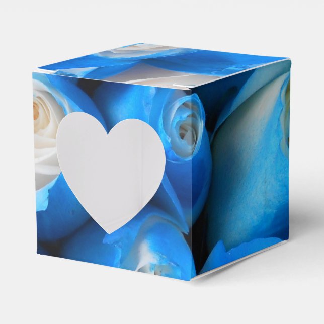 Diemudis Favor Box (Front Side)